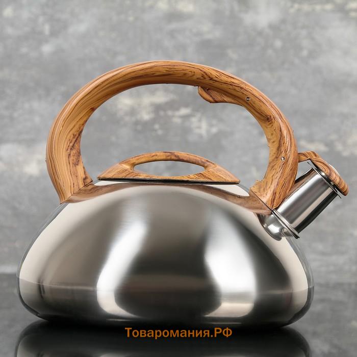 Чайник  «Квант», 2.8 л, со свистком, фиксированная ручка soft-touch, нержавеющая сталь, хромированный