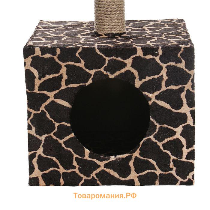 Домик для кошек с когтеточкой "Куб", с площадкой и игрушкой, 35 х 30 х 85 см, микс цветов