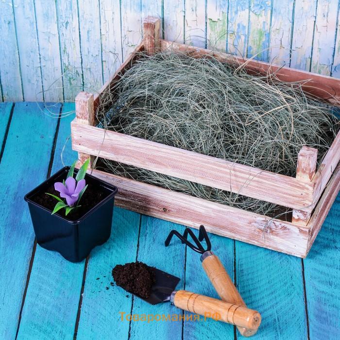 Горшок для рассады, 180 мл, d=7 см, h=6 см, чёрный, Greengo