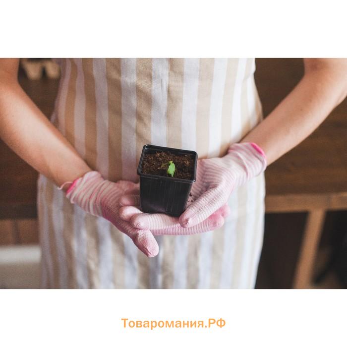 Горшок для рассады, 180 мл, d=7 см, h=6 см, чёрный, Greengo