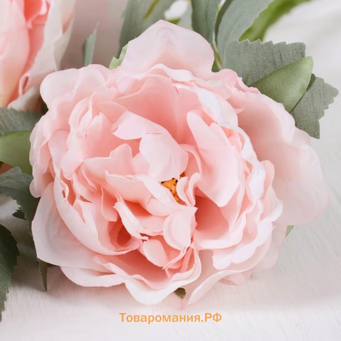 Цветы искусственные «Пион Лунная река», 12×85 см, розовые