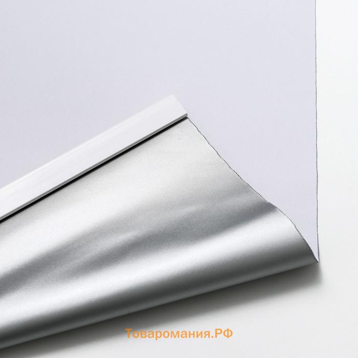 Штора рулонная «Механика. Блэкаут», 50×180 см (с учётом креплений 3.5 см), серая