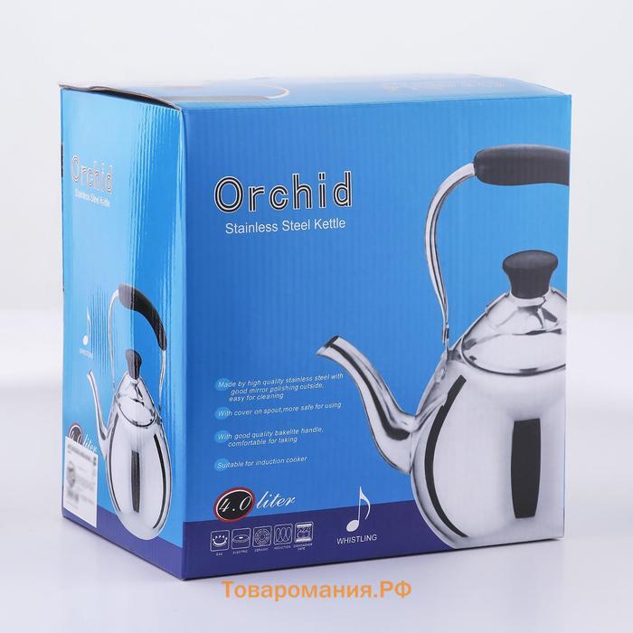 Чайник для плиты Orchid, 4 л, нержавеющая сталь, индукция, серебристый