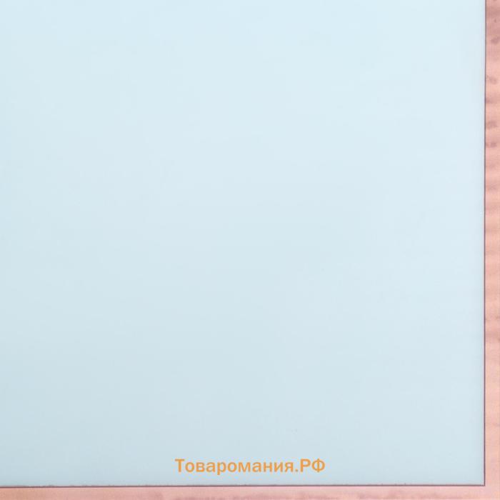 Плёнка для цветов, 57×57 см