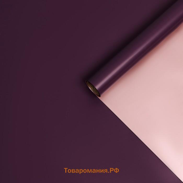 Пленка для цветов, 58 см × 5 м