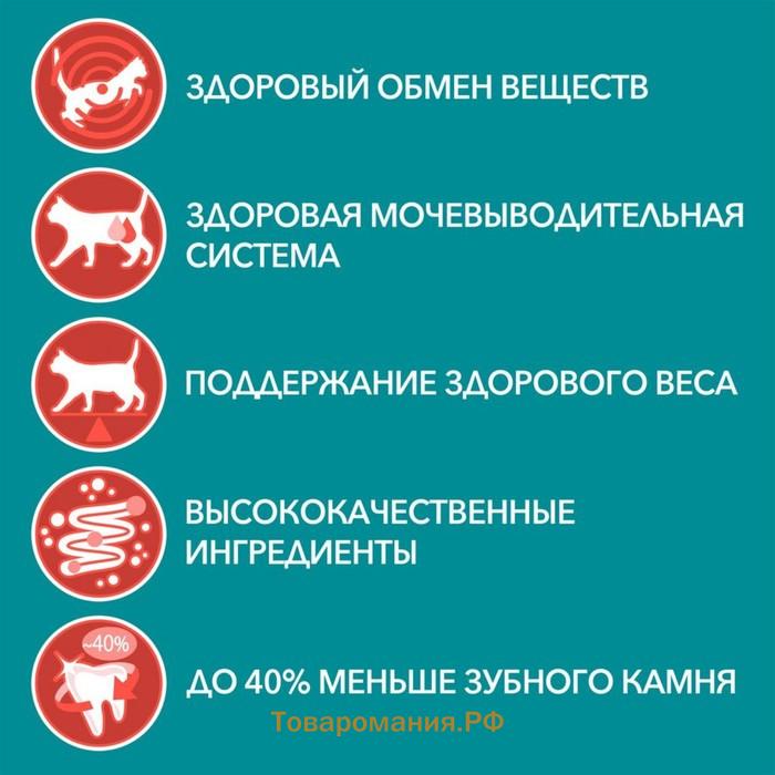 Сухой корм Purinа One для стерилизованных кошек, лосось/пшеница, 750 г