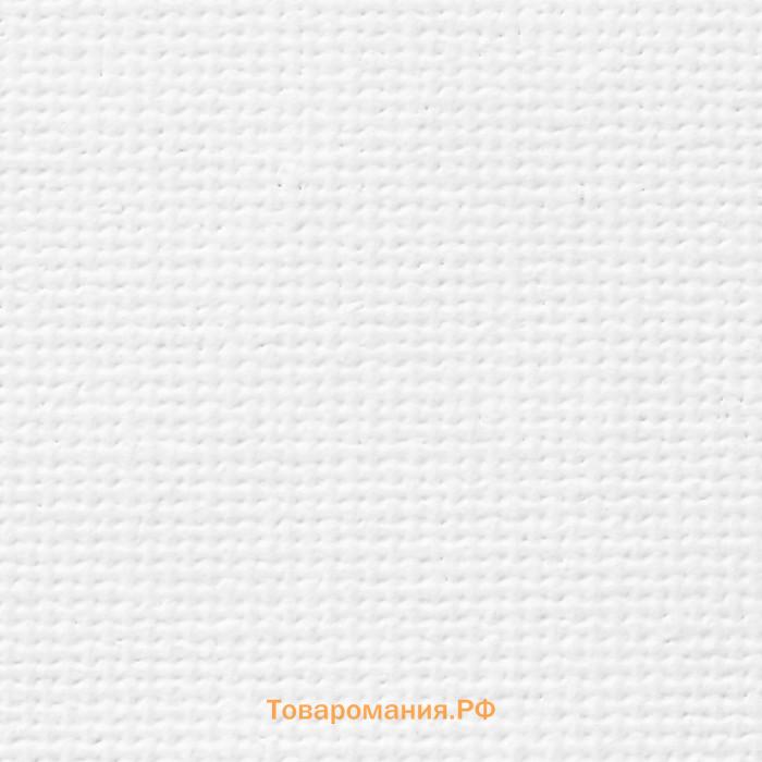 Холст на картоне 20 х 30 см, 100% хлопок, 280 г/м2, толщина 3 мм, мелкое зерно, ЗХК "Сонет", DK13701-20x30