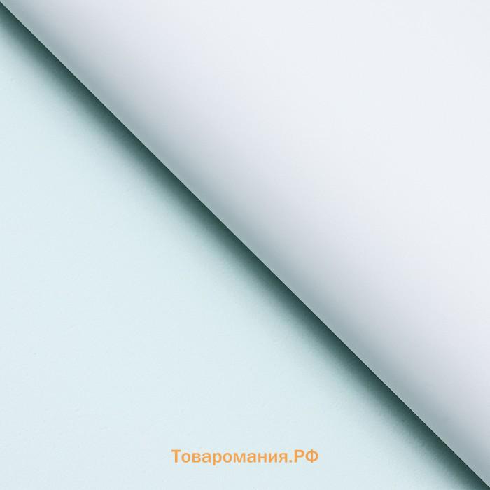 Пленка для цветов матовая, 56×57 см