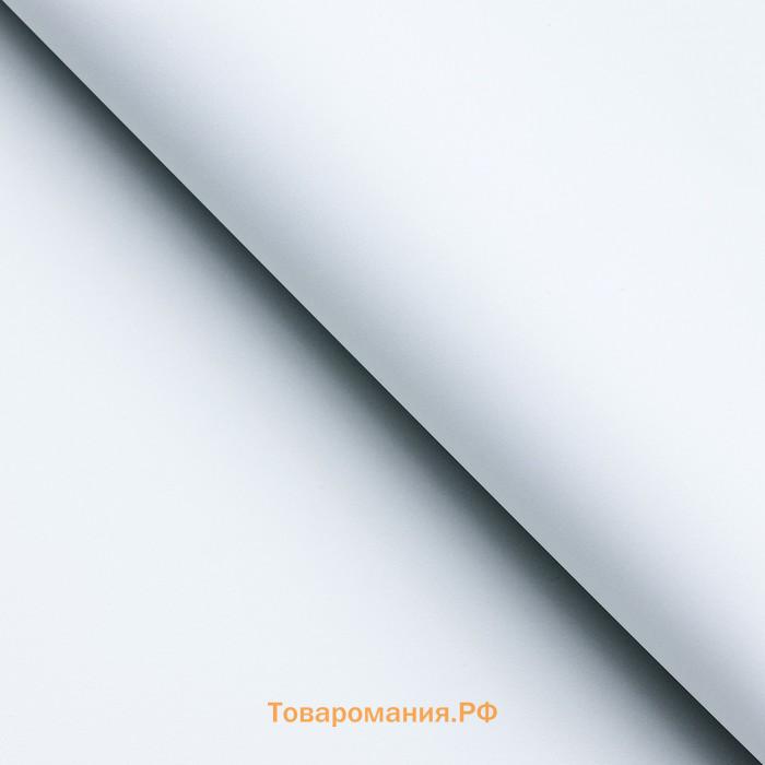 Пленка для цветов матовая, 56×57 см