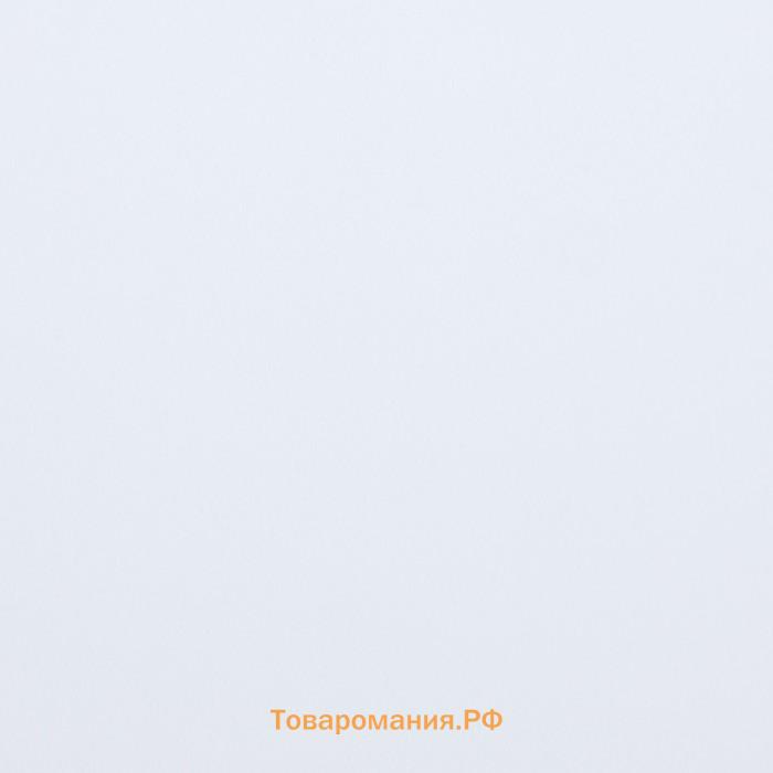 Пленка для цветов матовая, 56×57 см