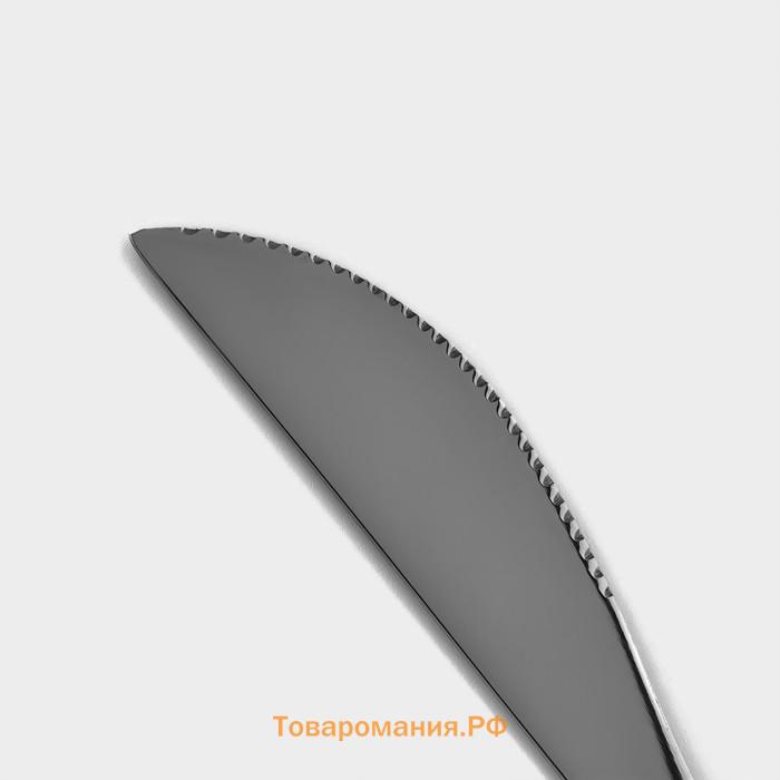 Набор ножей столовых из нержавеющей стали Magistro «Блинк», длина 22.4 см, 6 шт., серебристый