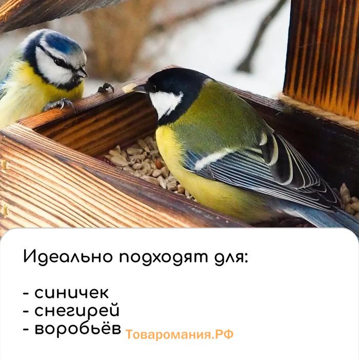 Кормушка из дерева своими руками «Дракон», 14.5×14.5×17.5 см, Greengo