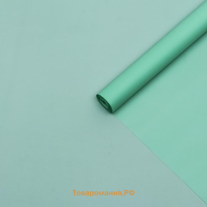 Пленка матовая, PASTEL, Зеленый чай 0.59×7 м 180 г