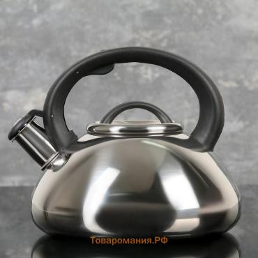 Чайник  «Квант», 2.8 л, со свистком, фиксированная ручка, нержавеющая сталь, хромированный