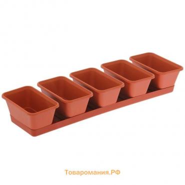 Набор горшков для цветов с поддоном Darel plastic, 750 мл, 53 см, 5 шт., терракотовый
