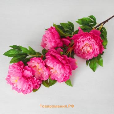 Цветы искусственные «Пион кустовой», 5 бутонов, 15×110 см, сиренево-розовые