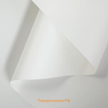 Пленка для цветов, белый, 58 см × 10 м