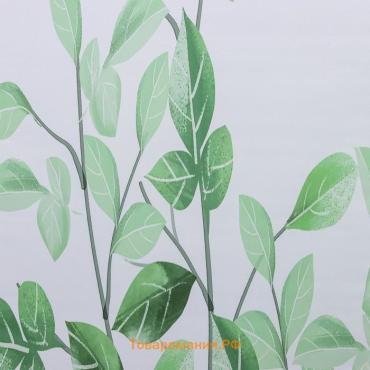 Штора рулонная «Ветви», блэкаут, 120×200 см, белая