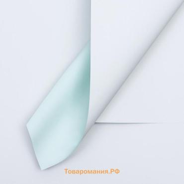 Пленка для цветов матовая, 56×57 см