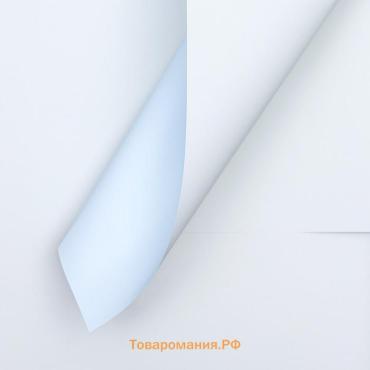 Пленка для цветов матовая, 56×57 см